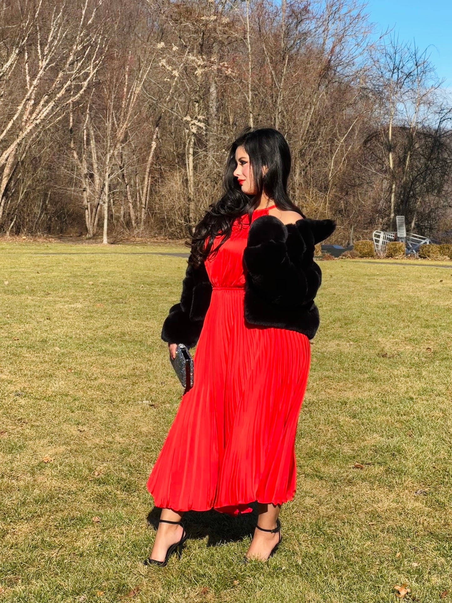 👑Princess Ruby maxi red pleated dress