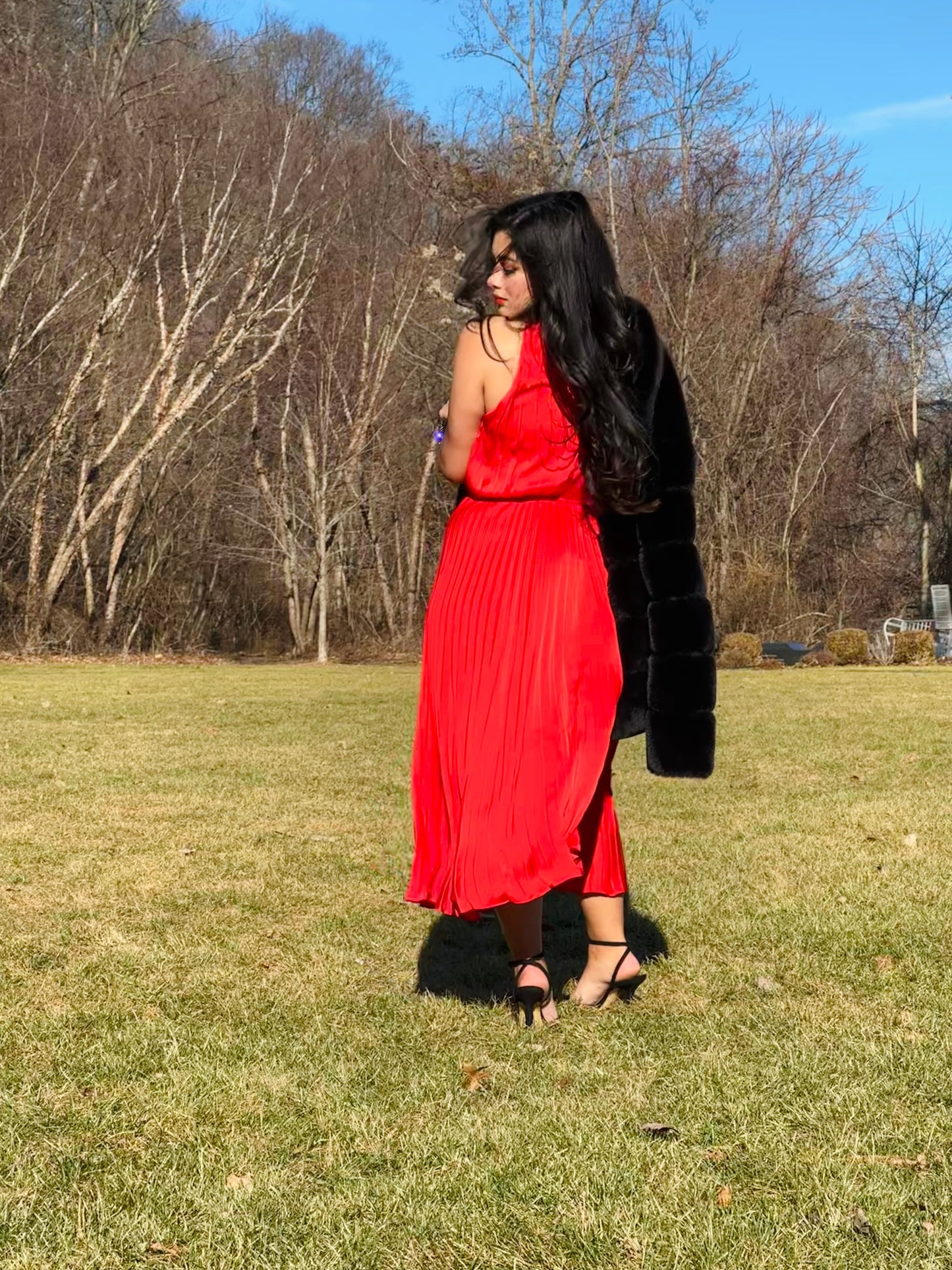 👑Princess Ruby maxi red pleated dress